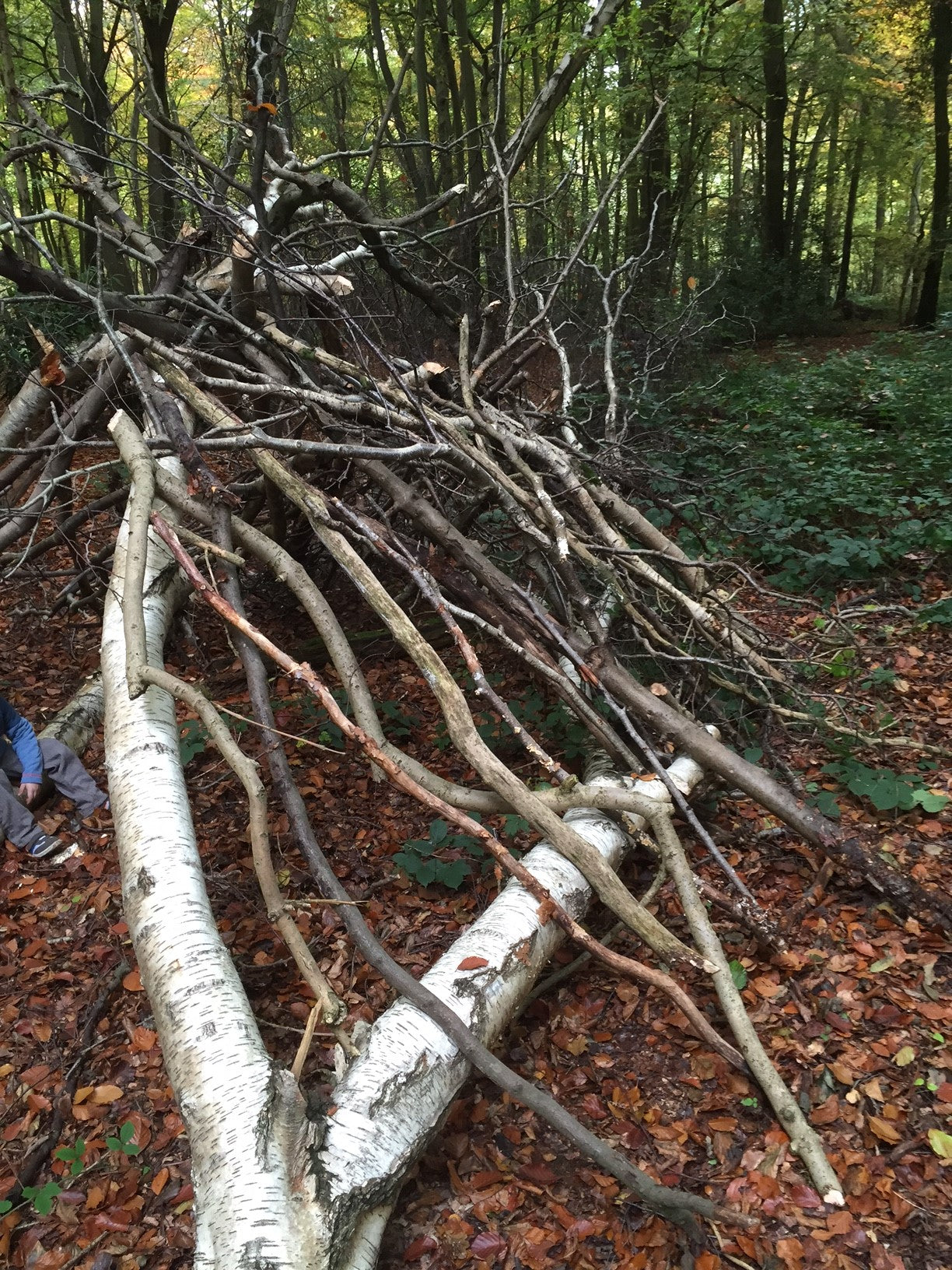 Little Explorers: Den building