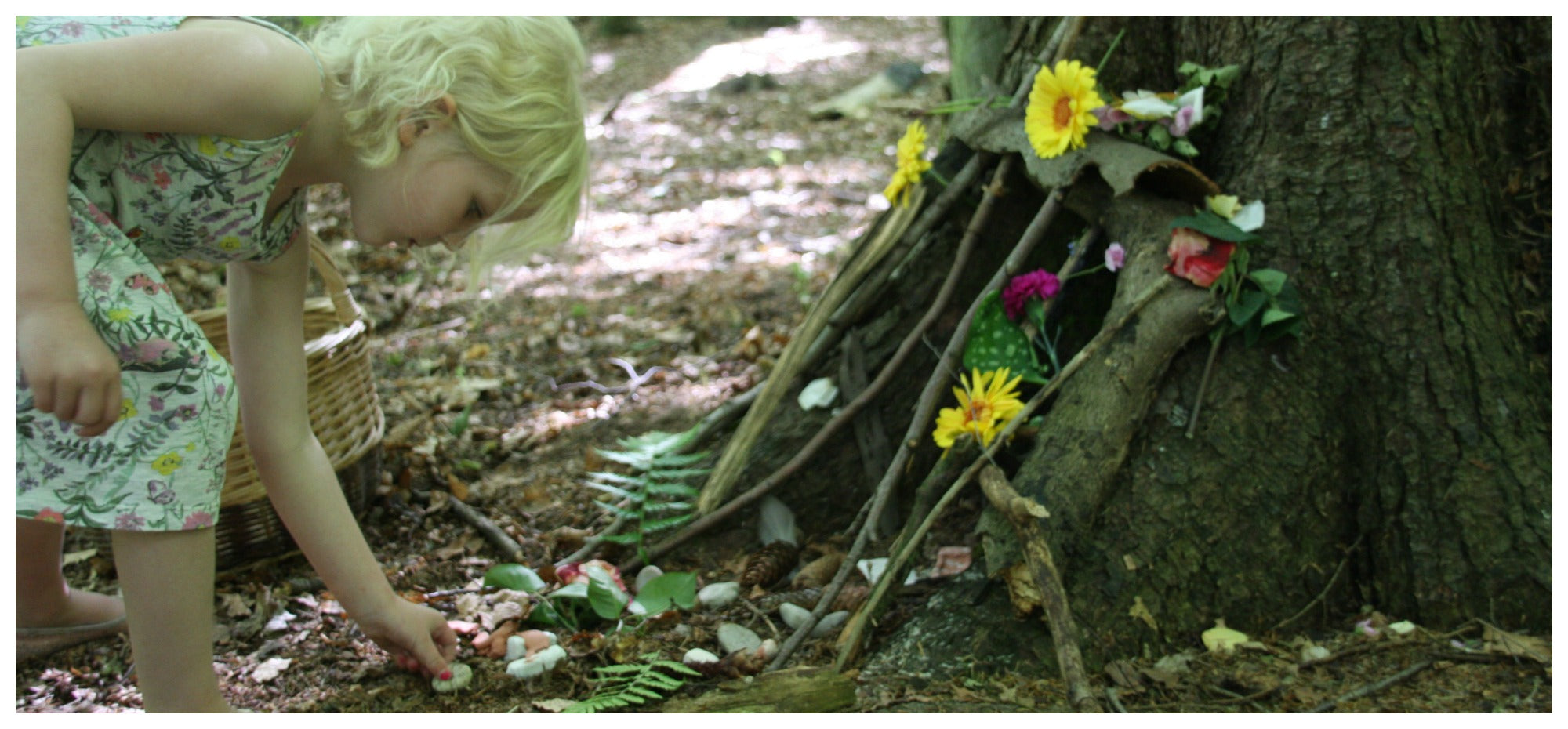 Little Explorers: Spewing Pumpkins!