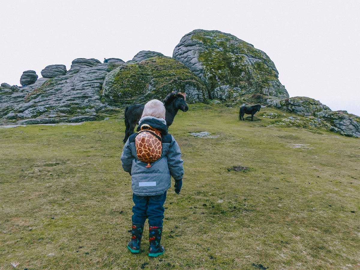 Exploring Devon with Freya and Noah