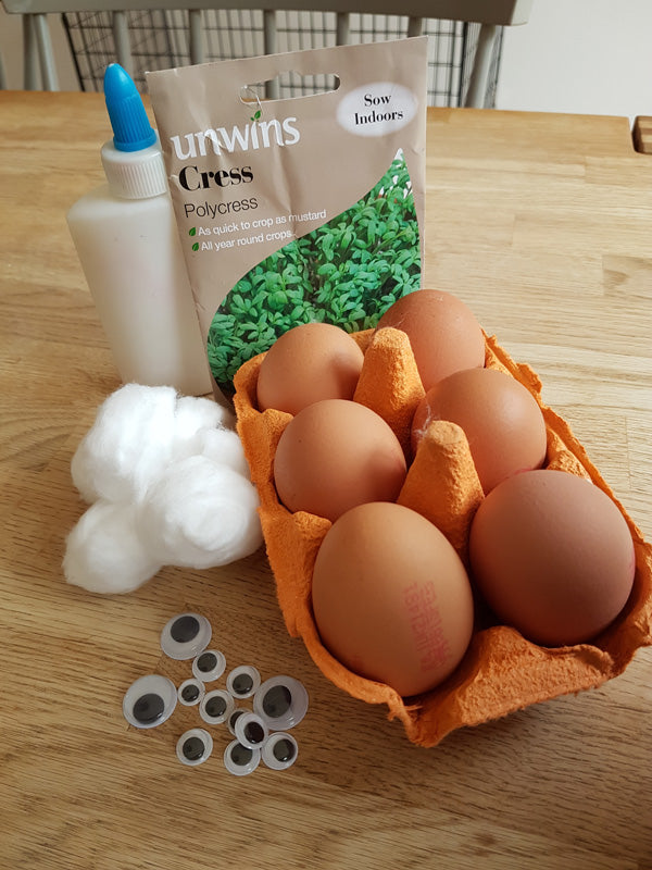 Little Explorers: Cress Heads