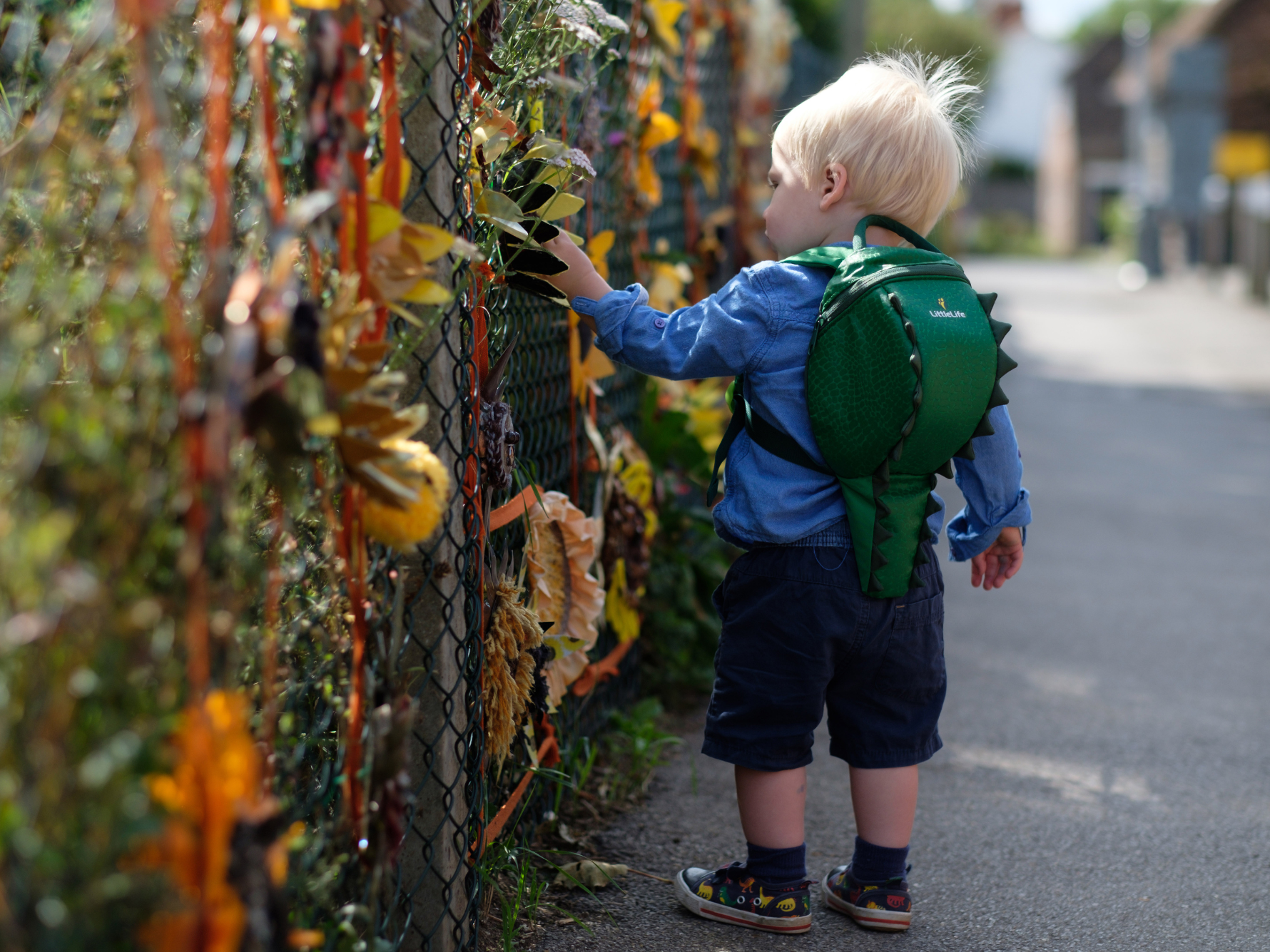 Toddler wearing a LittleLife green dinosaur backpack while touching leaves on a fence