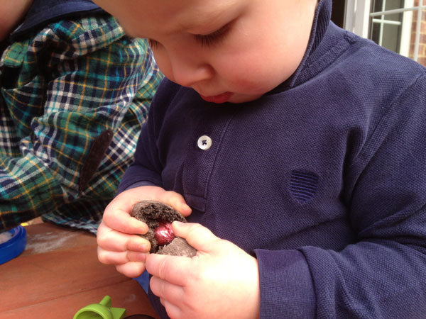 Little Explorers: Dinosaur Eggs