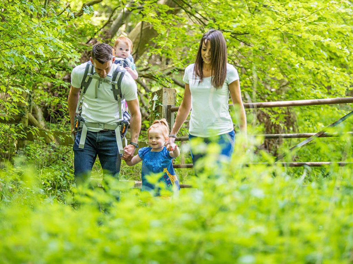 Which Child Carrier Backpack is Best