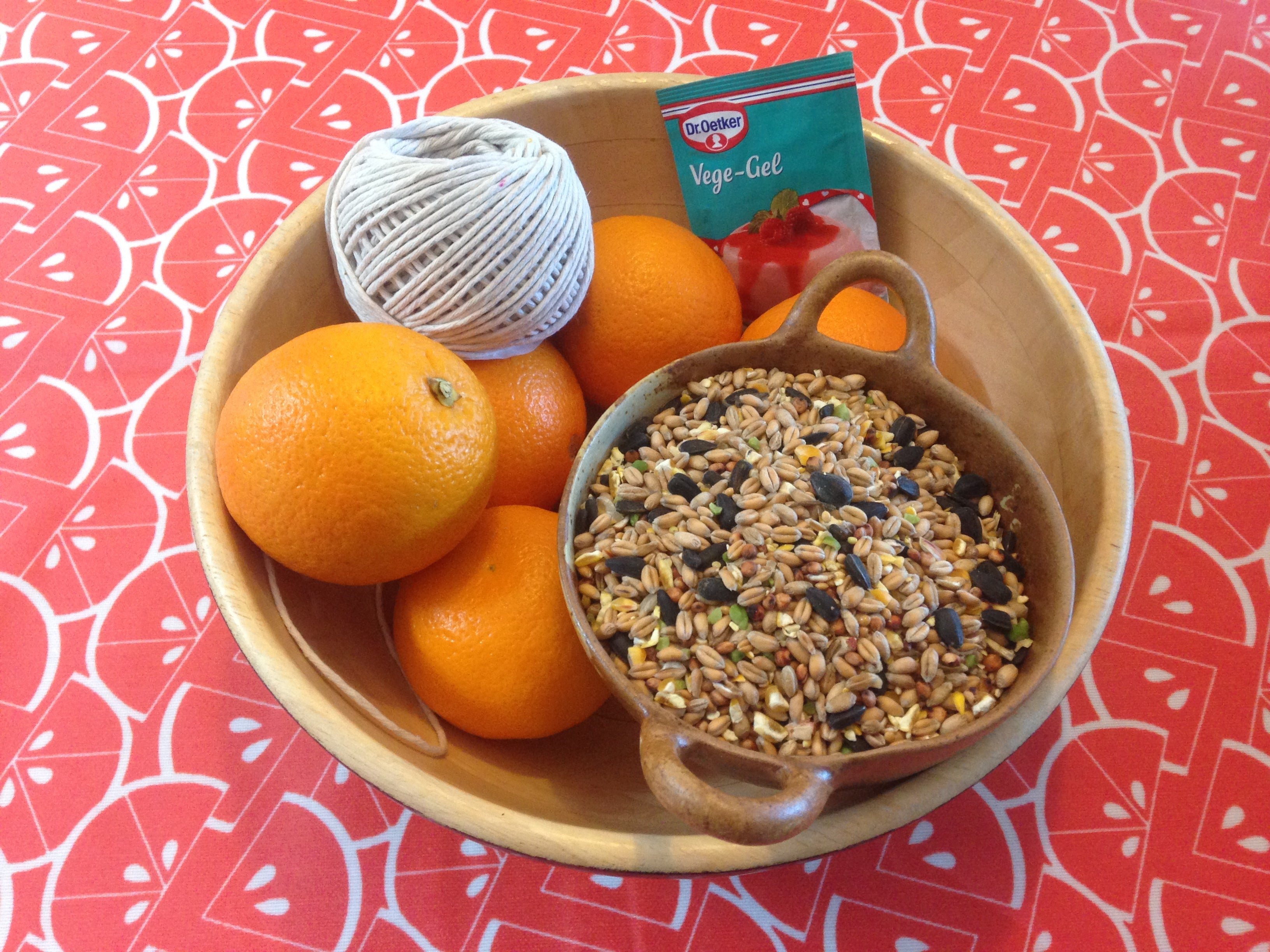 Little Explorers: “Easy-Peasy-Orange-Squeezy” Bird Feeders.