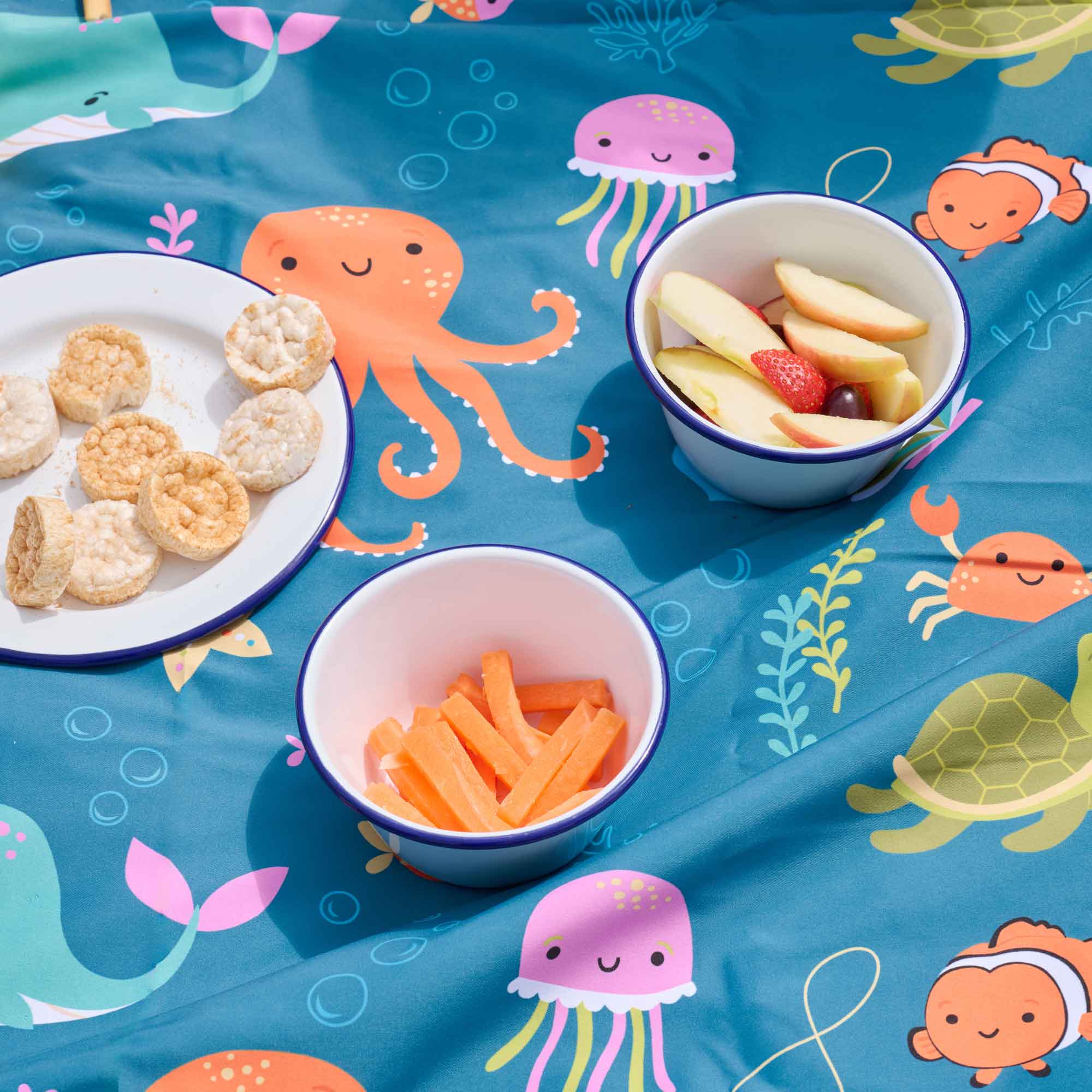 Picnic Play Mat