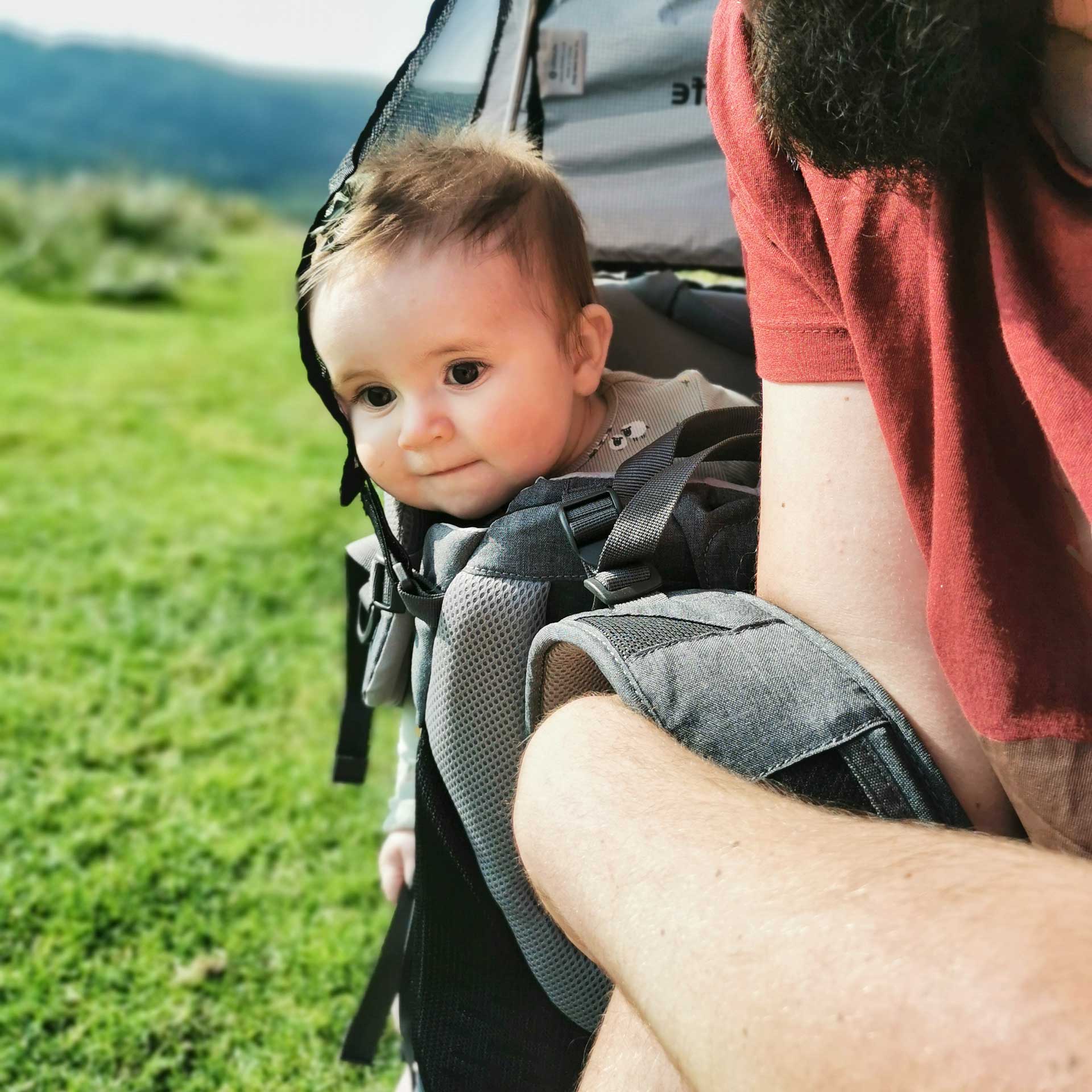 Pathseeker Child Carrier