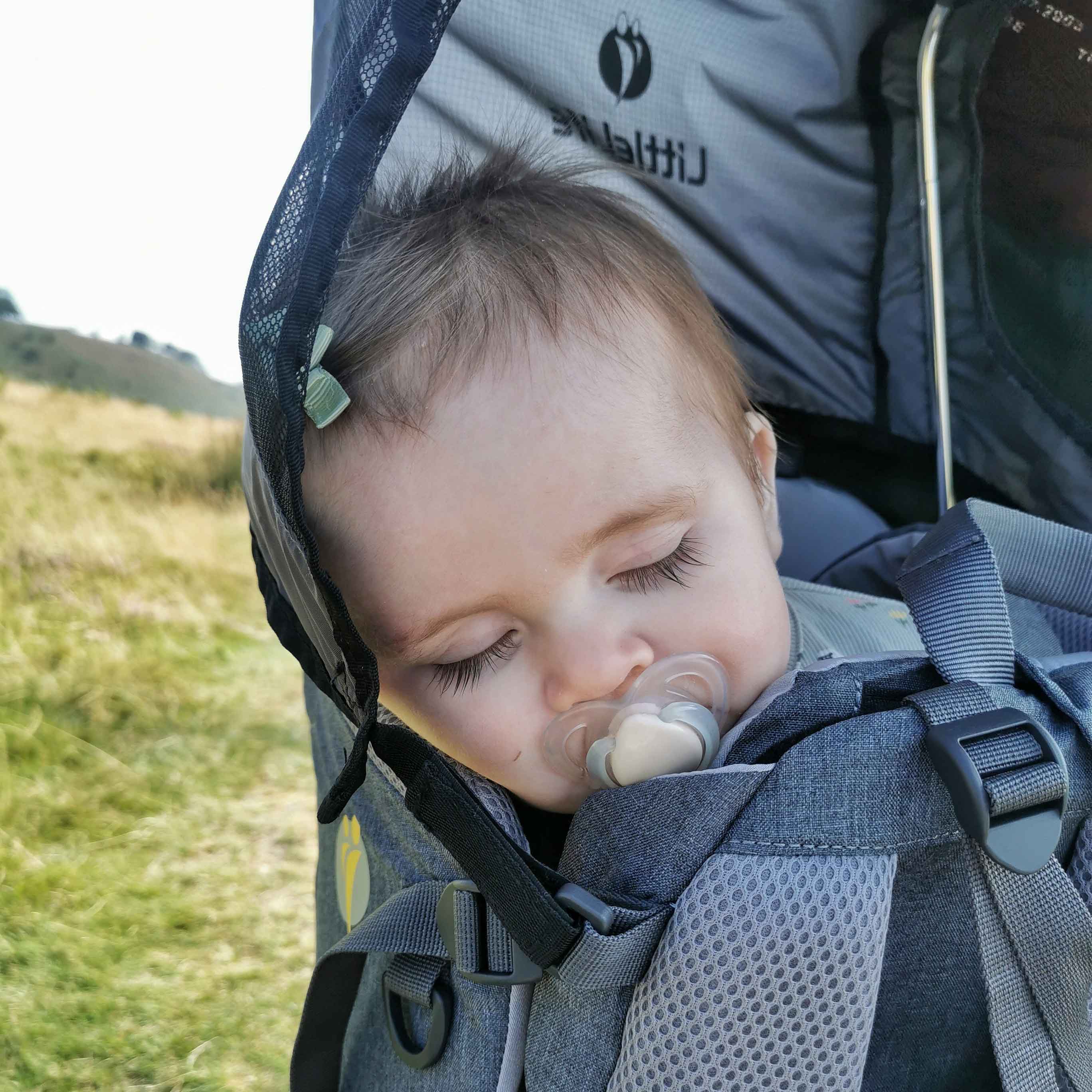 Pathseeker Child Carrier | Baby Back Carrier | LittleLife