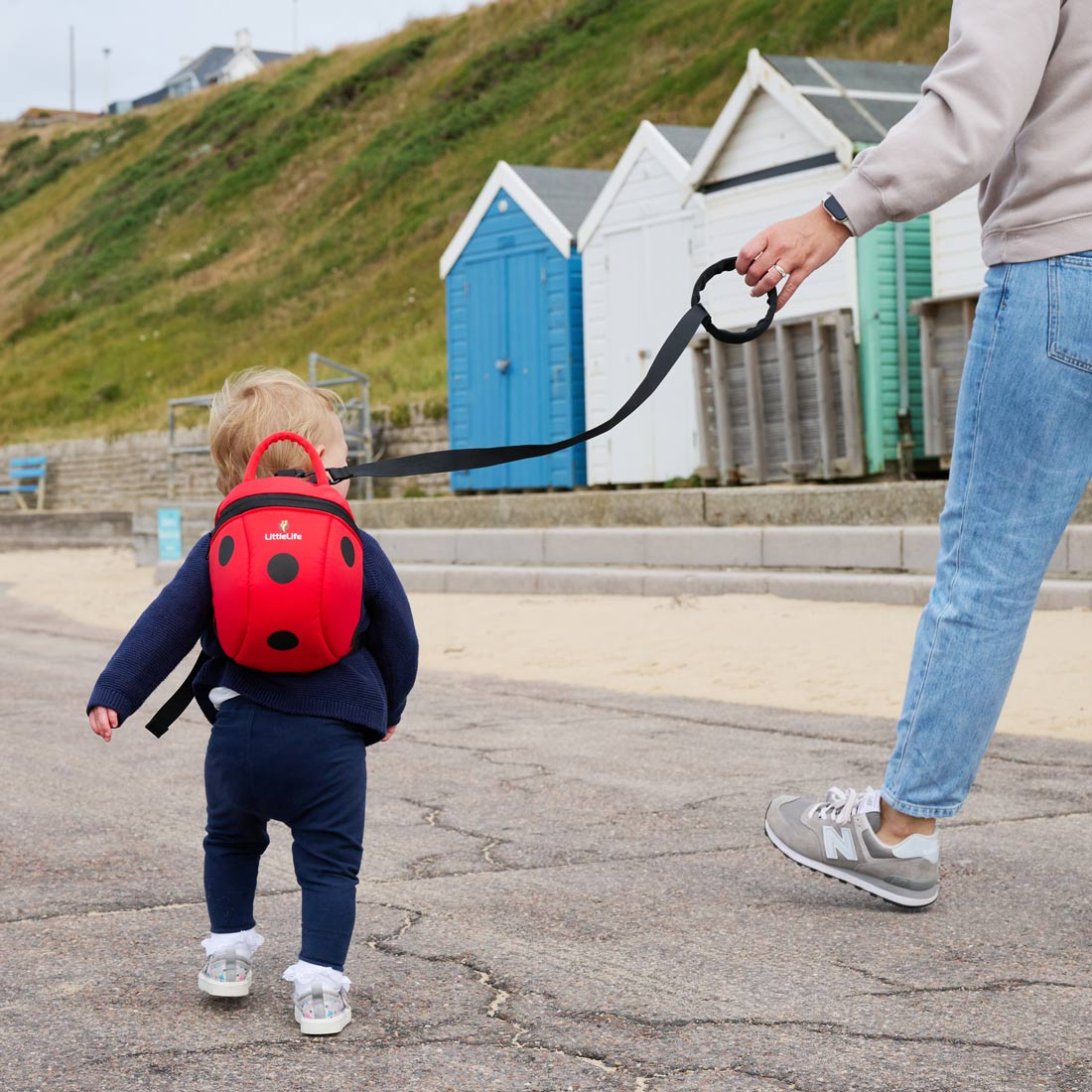 Ladybird Bag