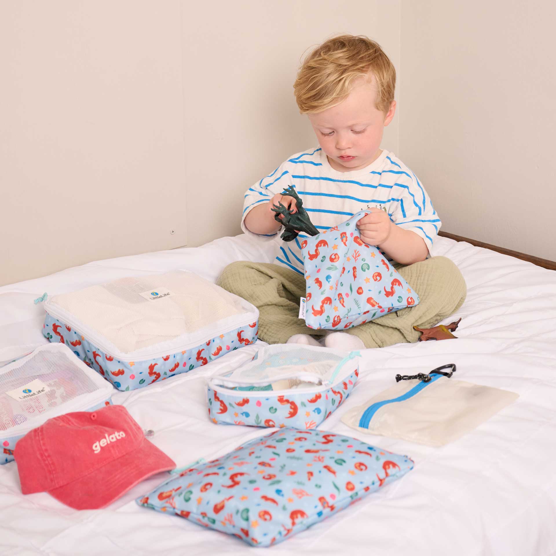 Packing Cube Set