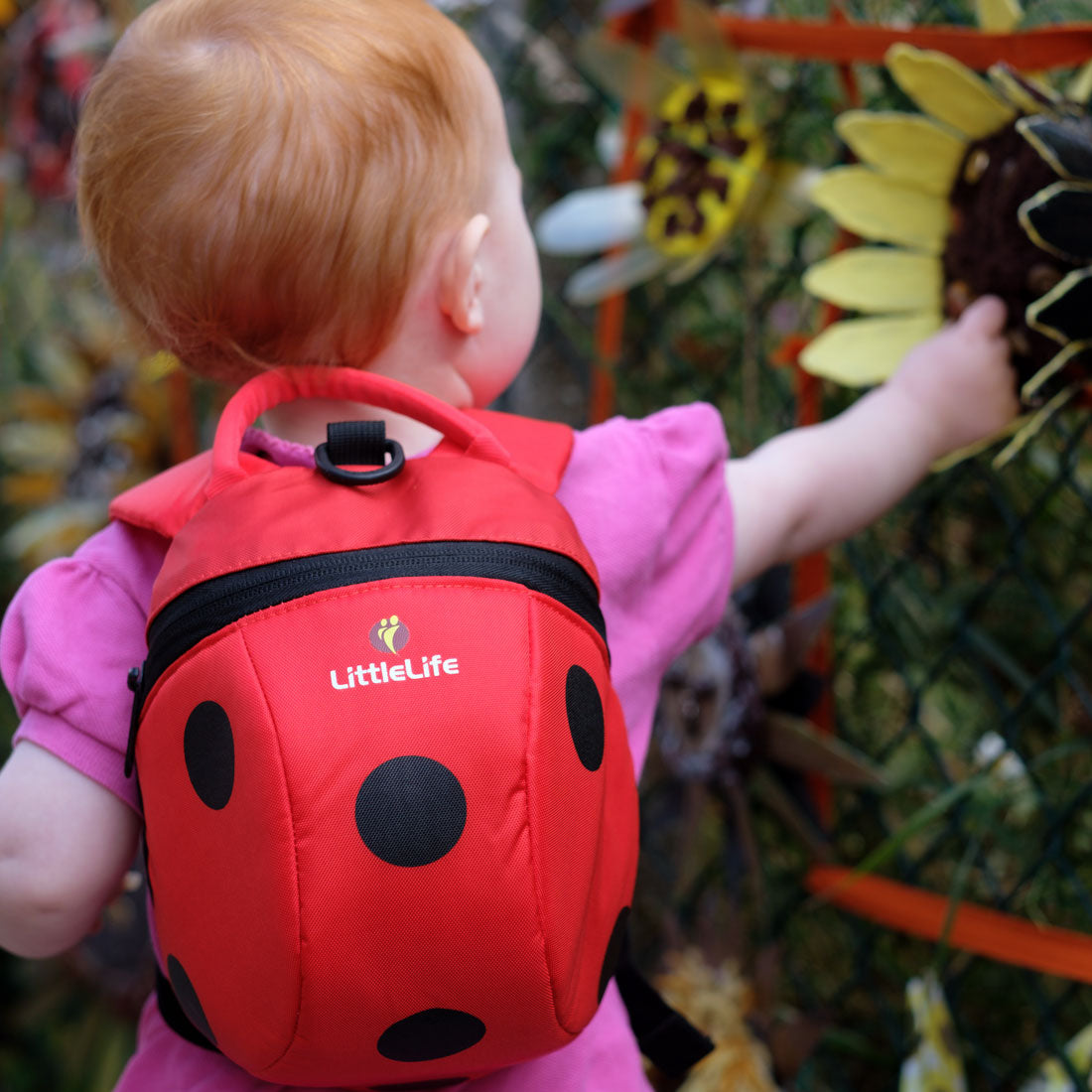 bushbaby mini pack toddler backpack and reins Ladybird Backpack with Rein | Toddler Backpacks