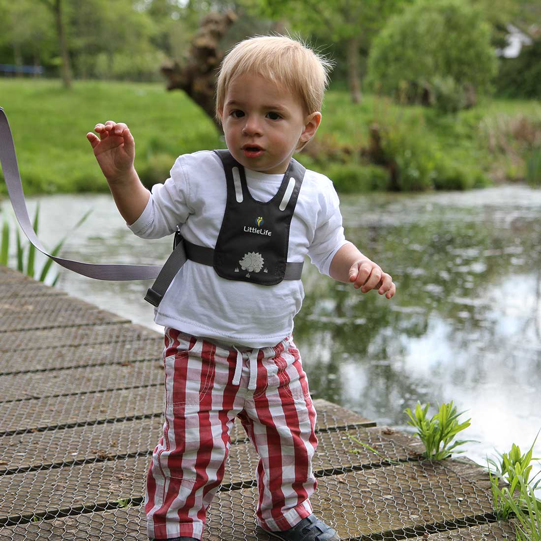 Toddler Reins - variant[Hedgehog]